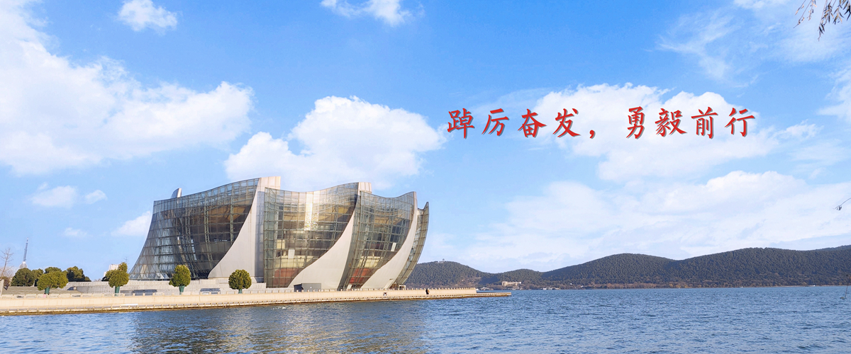 踔厉奋发，勇毅前行